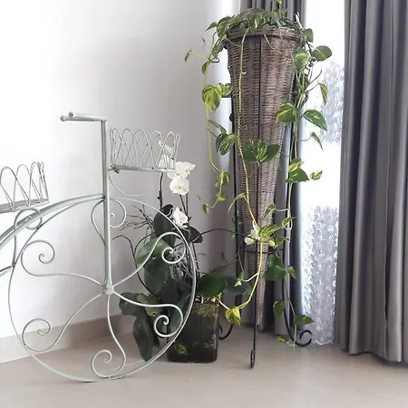 Villa-apartments Karmel *