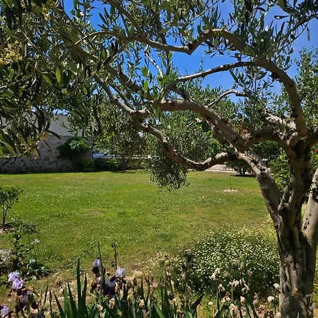 Appartement Villa-apartments Karmel *
